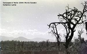 CAMPAGNE D ITALIE MONTE CASSINO 1943 44  (19)